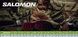 Черевики Salomon QUEST 4D GTX Forces 2 Хакі 14990429 фото 6