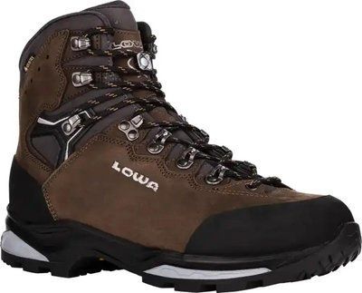 Черевики Lowa Camino Evo GTX Коричневі 9730011 фото